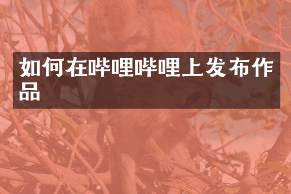 如何在哔哩哔哩上发布作品