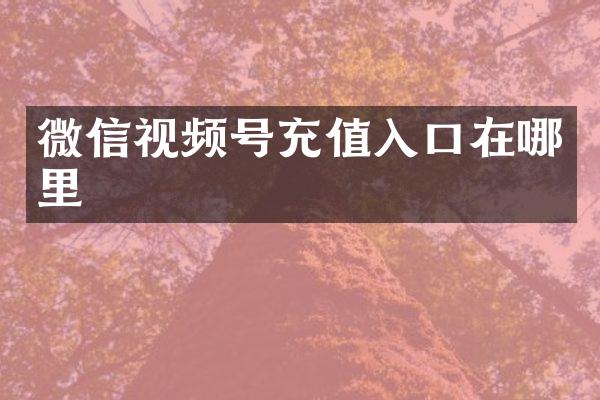 微信视频号充值入口在哪里