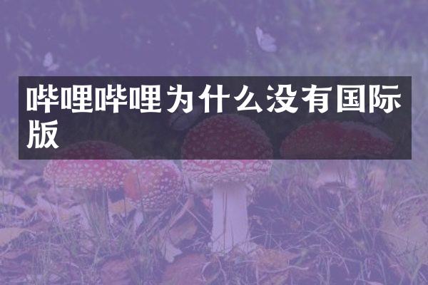 哔哩哔哩为什么没有国际版