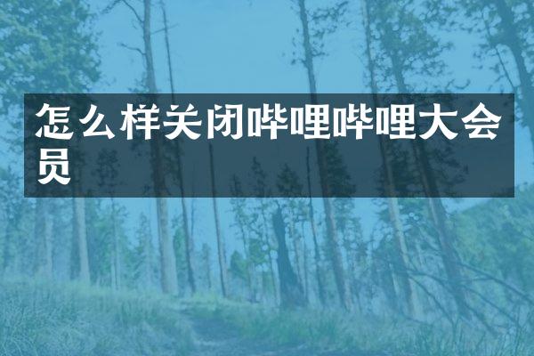 怎么样关闭哔哩哔哩大会员