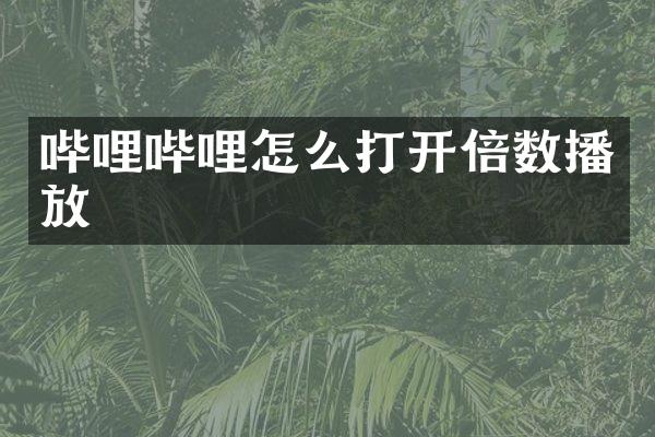 哔哩哔哩怎么打开倍数播放