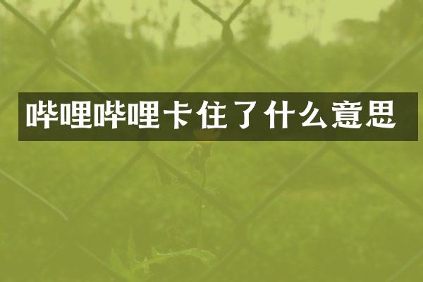 哔哩哔哩卡住了什么意思