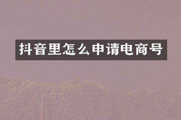 抖音里怎么申请电商号