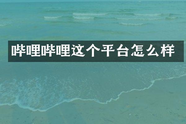 哔哩哔哩这个平台怎么样