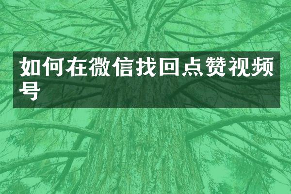 如何在微信找回点赞视频号
