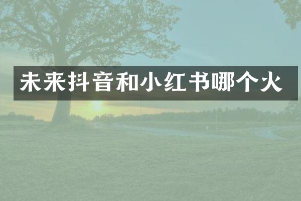 未来抖音和小红书哪个火
