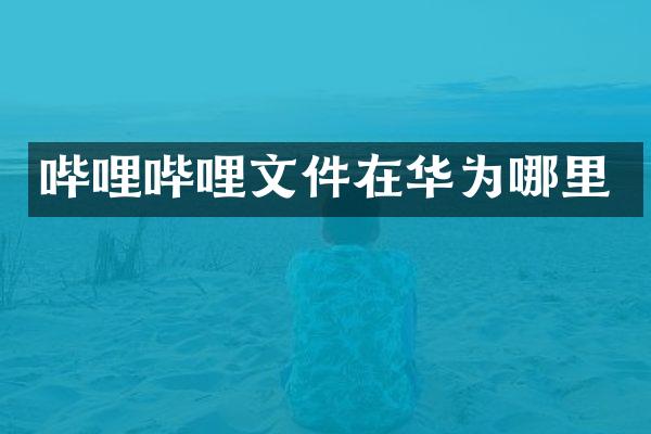 哔哩哔哩文件在华为哪里