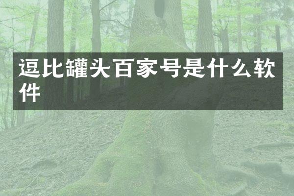 罐头百家号是什么软件