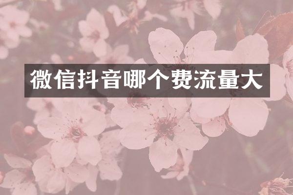 微信抖音哪个费流量大