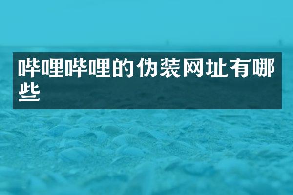 哔哩哔哩的伪装网址有哪些