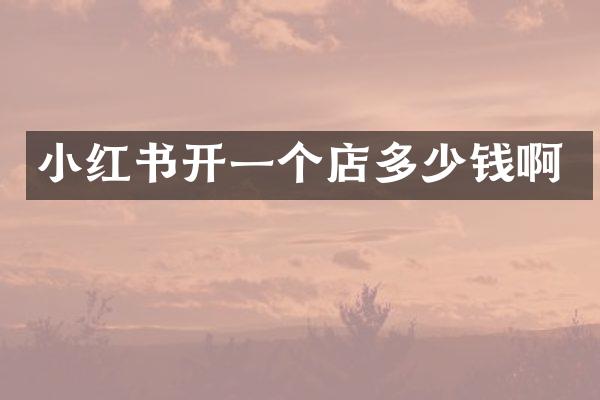 小红书开一个店多少钱啊