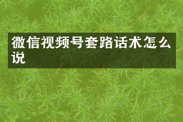 微信视频号套路话术怎么说