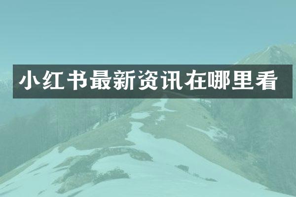 小红书最新资讯在哪里看