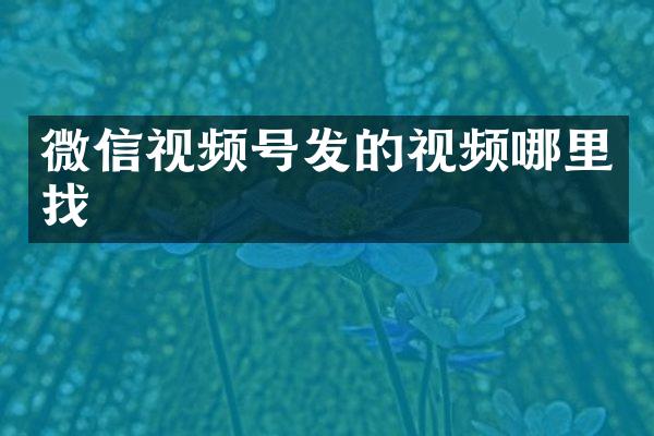 微信视频号发的视频哪里找