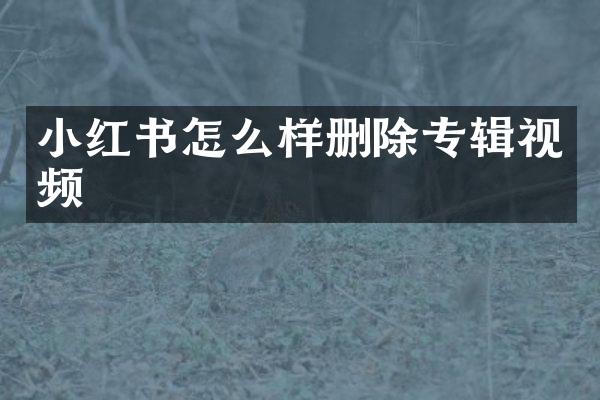小红书怎么样删除专辑视频