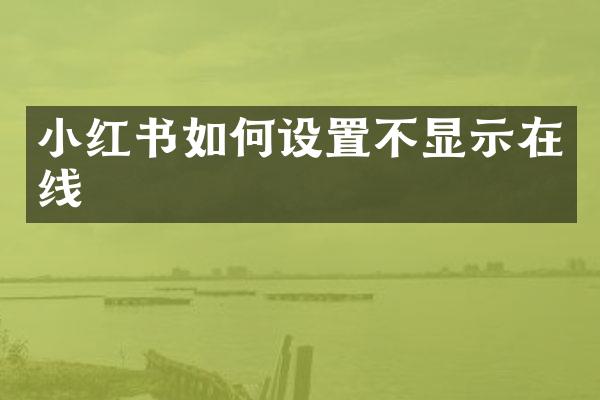小红书如何设置不显示在线