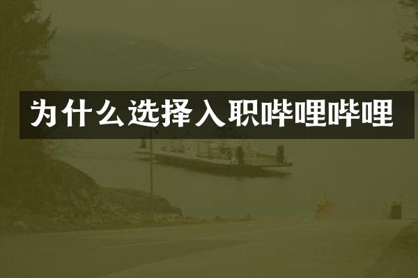 为什么选择入职哔哩哔哩