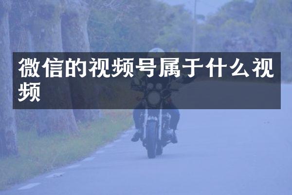 微信的视频号属于什么视频