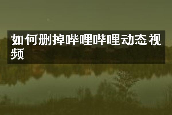 如何删掉哔哩哔哩动态视频