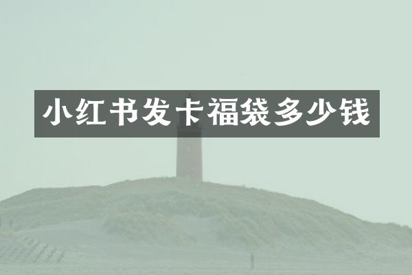 小红书发卡福袋多少钱