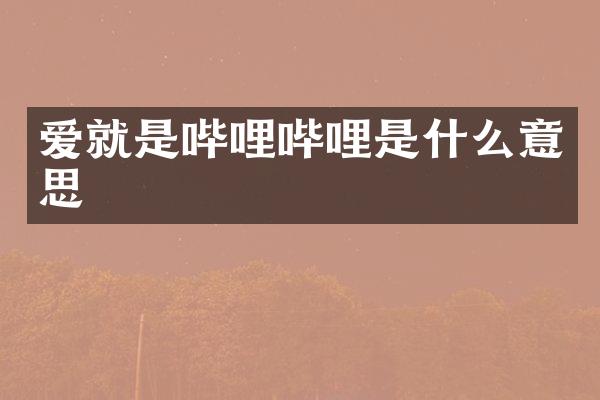 爱就是哔哩哔哩是什么意思