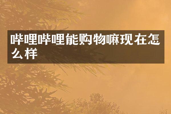 哔哩哔哩能购物嘛现在怎么样