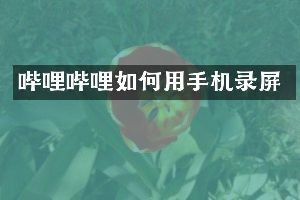 哔哩哔哩如何用手机录屏