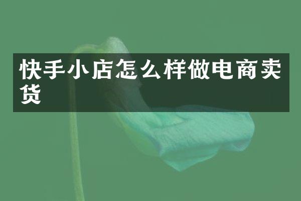 快手小店怎么样做电商卖货