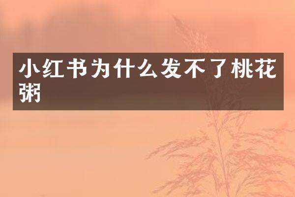 小红书为什么发不了桃花粥