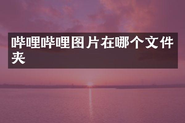 哔哩哔哩图片在哪个文件夹
