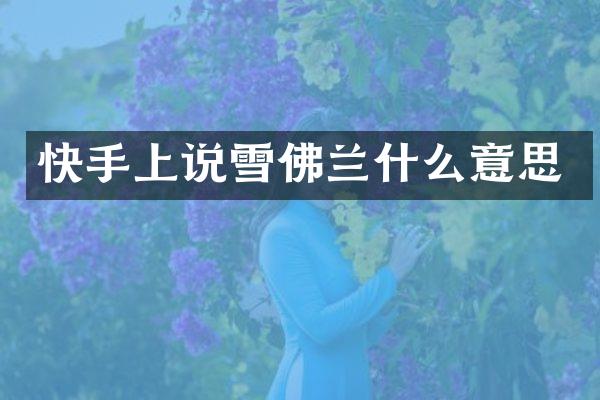 快手上说雪佛兰什么意思