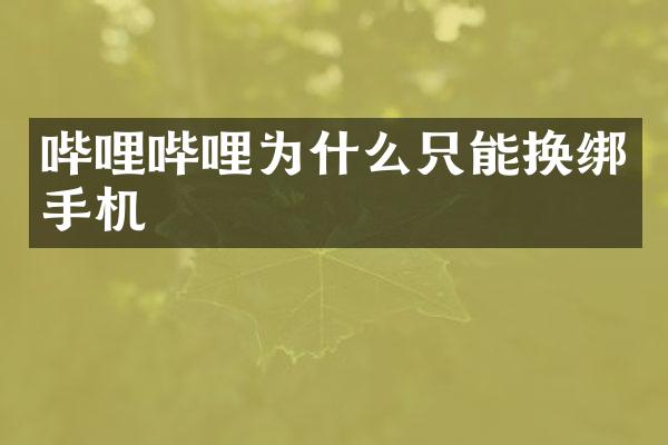 哔哩哔哩为什么只能换绑手机