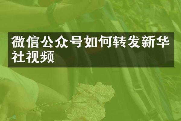 微信公众号如何转发新华社视频