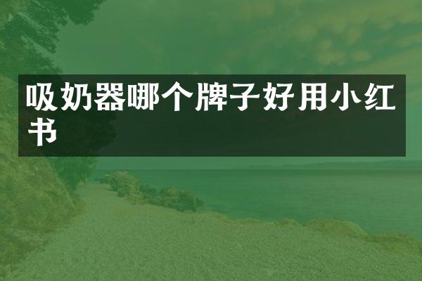 吸奶器哪个牌子好用小红书