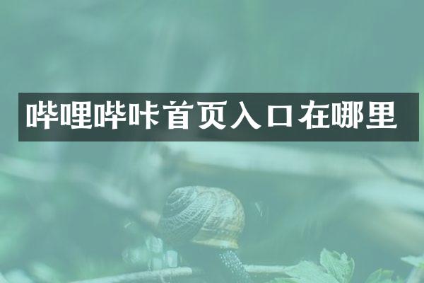 哔哩哔咔首页入口在哪里
