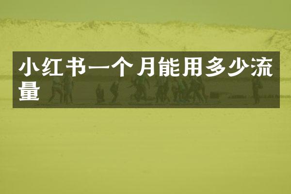 小红书一个月能用多少流量