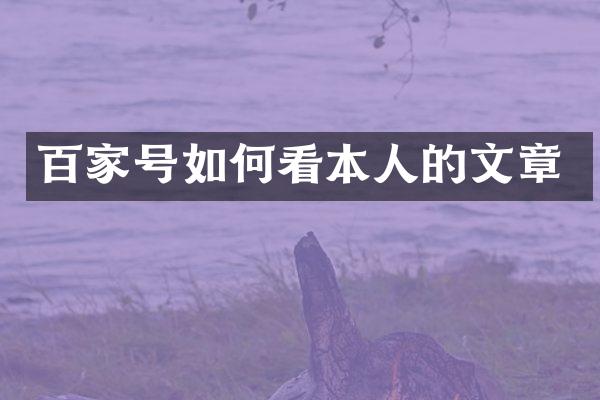 百家号如何看本人的文章
