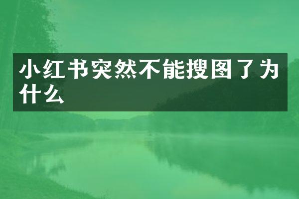 小红书突然不能搜图了为什么