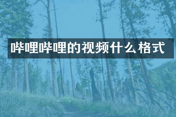 哔哩哔哩的视频什么格式
