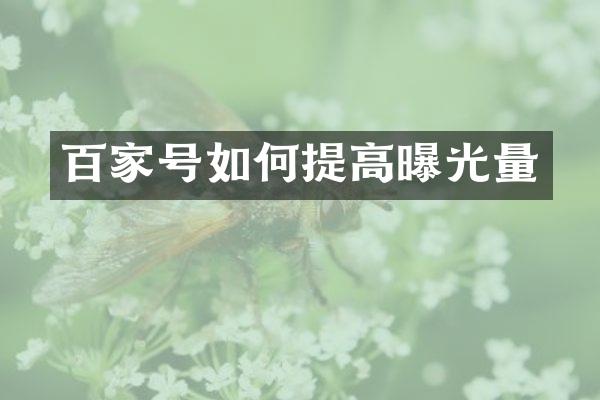 百家号如何提高曝光量