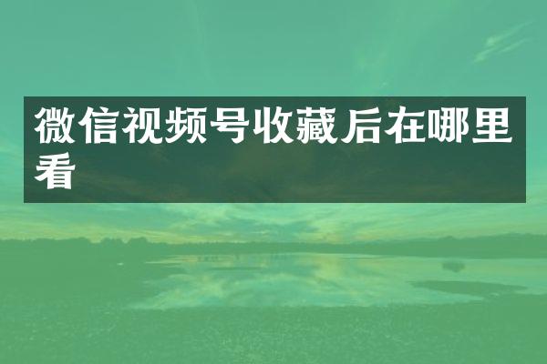 微信视频号收藏后在哪里看