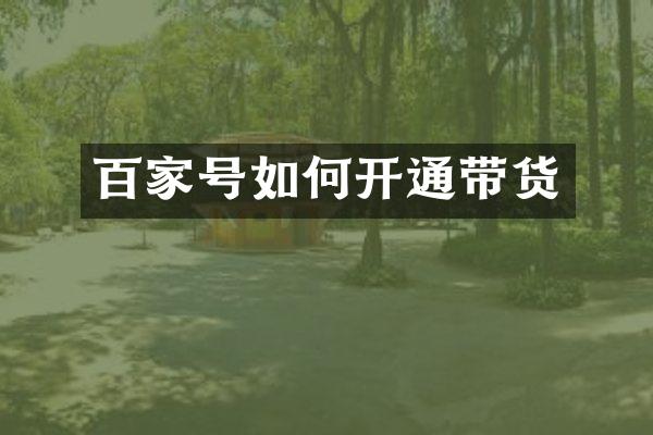 百家号如何开通带货
