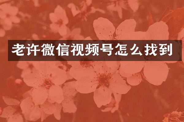 老许微信视频号怎么找到