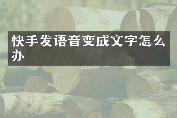 快手发语音变成文字怎么办