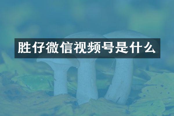 胜仔微信视频号是什么