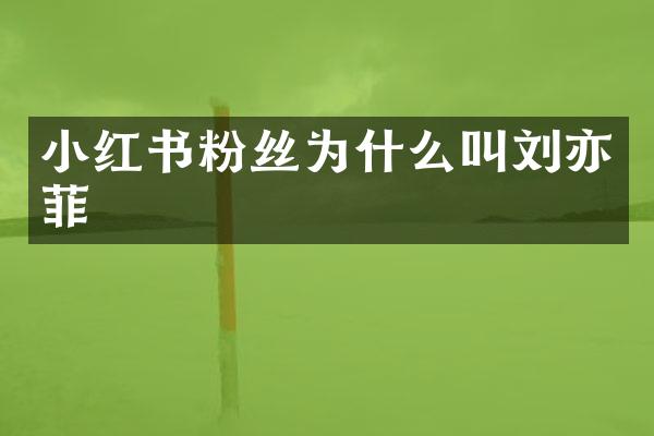小红书粉丝为什么叫刘亦菲