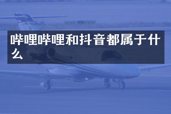 哔哩哔哩和抖音都属于什么