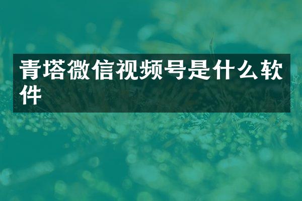 青塔微信视频号是什么软件