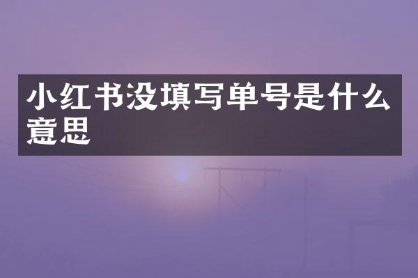 小红书没填写单号是什么意思