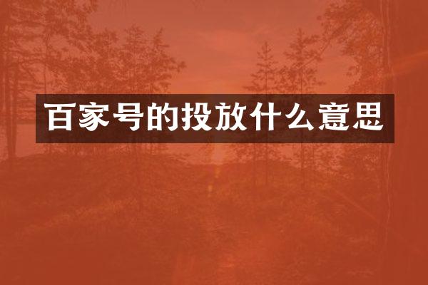 百家号的投放什么意思
